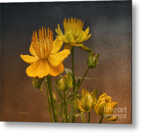 Flower Metal Print featuring the photograph Yellow Aged Floral by Deborah Benoit