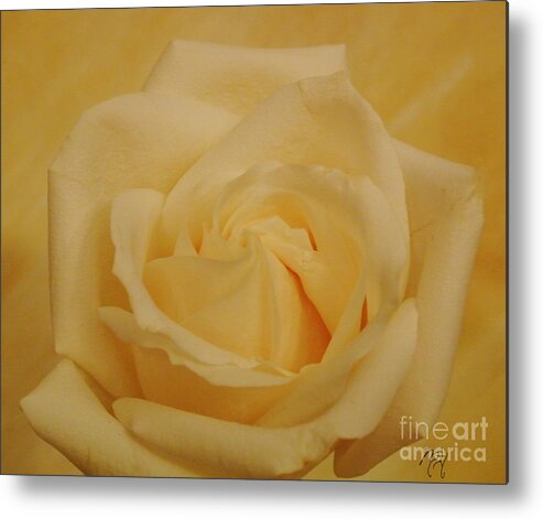 Photo Metal Print featuring the photograph Yellow Beauty Rose by Marsha Heiken