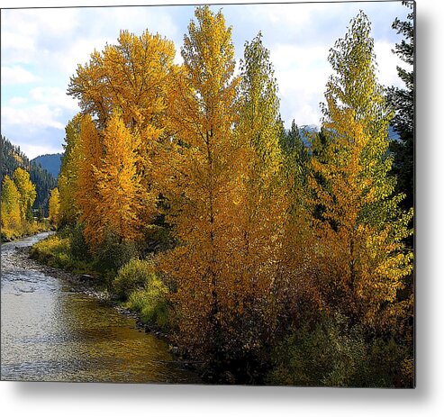 Fall Colors Metal Print featuring the photograph Fall Colors #1 by Steve McKinzie