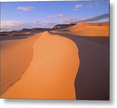 00175735 Metal Print featuring the photograph Wind Ripples In Sand Dunes #1 by Tim Fitzharris