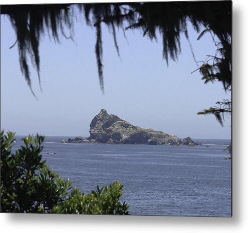 Castle Rock Metal Print featuring the photograph Castle Rock #2 by Betty Depee