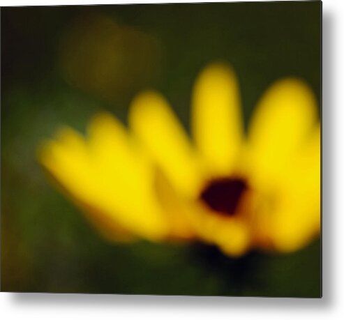 Flower Metal Print featuring the photograph A Light in the Heart by Melanie Moraga