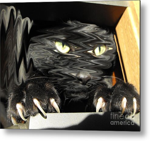 Black Cat Metal Print featuring the photograph Alice's cat by Rebecca Margraf