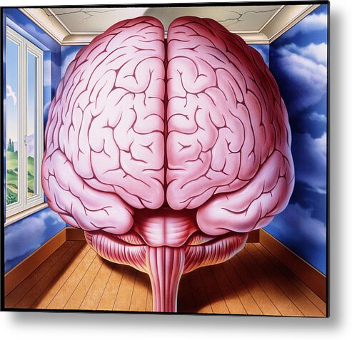 Schizophrenia Metal Print featuring the photograph Artwork Of Human Brain Enclosed In Dream-like Room by John Bavosi