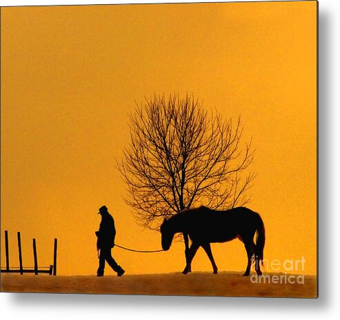 Horse Metal Print featuring the photograph At The End Of The Day by Terry Doyle