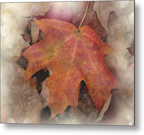 Leaf Metal Print featuring the photograph Autumn Dance by Terry Eve Tanner