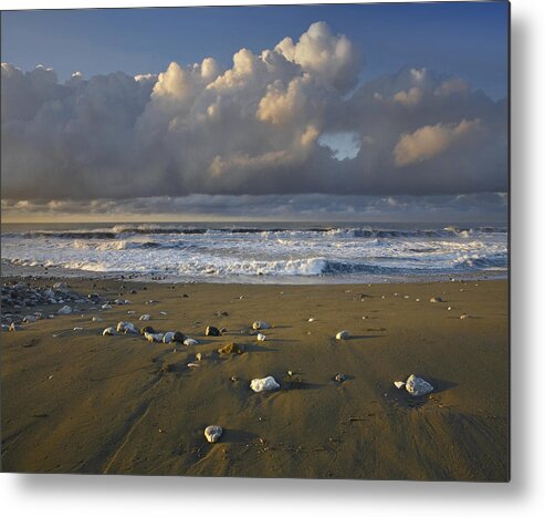 00176966 Metal Print featuring the photograph Beach And Waves Corcovado National Park by Tim Fitzharris