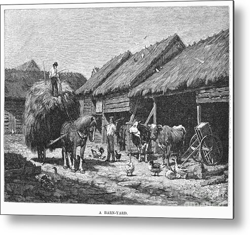 1883 Metal Print featuring the photograph Canada: Farming, 1883 by Granger