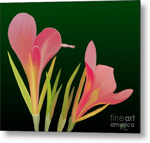 Flowers Metal Print featuring the painting Canna Lilly Whimsy by Rand Herron