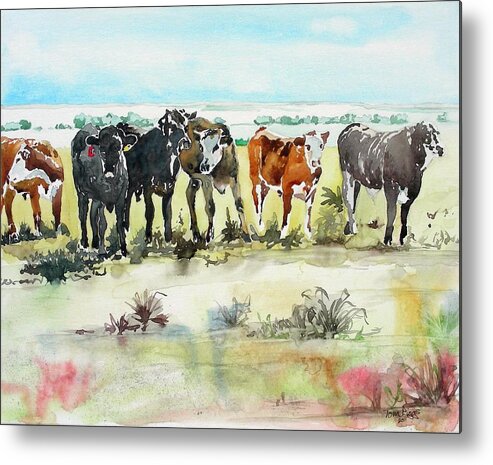 Watercolor Metal Print featuring the painting Carol's Cows by Tom Riggs