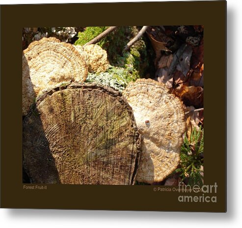 Mushroom Metal Print featuring the photograph Forest Fruit-II by Patricia Overmoyer