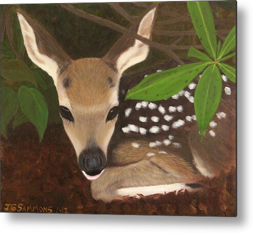 Fawns Metal Print featuring the painting Found a Fawn by Janet Greer Sammons