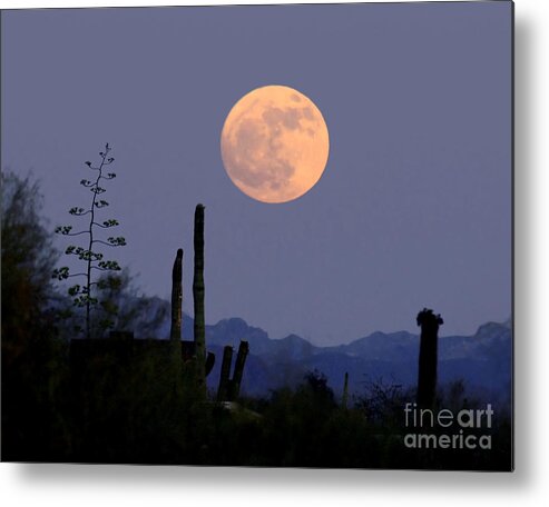 Full Moon Metal Print featuring the photograph Full Moon Rise Gold Canyon AZ by Joanne West