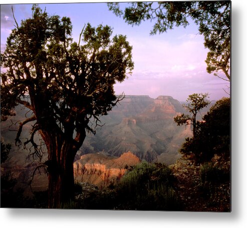 Grand Canyon Metal Print featuring the photograph Grand Canyon by Jim Painter