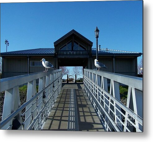 Gull Metal Print featuring the photograph Guarding The Gate by KD Johnson