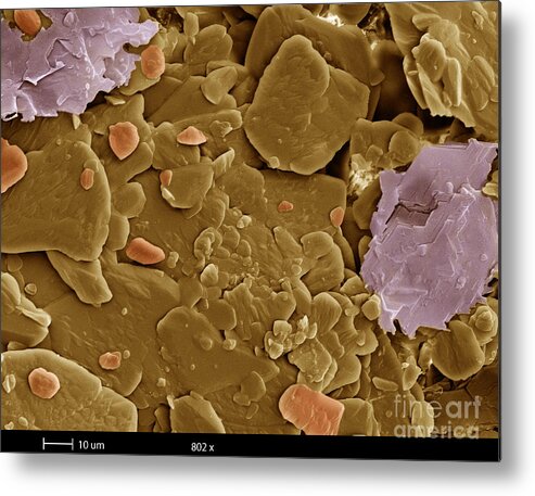 Sem Metal Print featuring the photograph Heroin, Sem by Ted Kinsman
