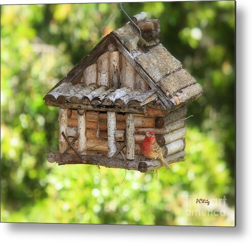 Bird Metal Print featuring the photograph Home Tweet Home by Patrick Witz