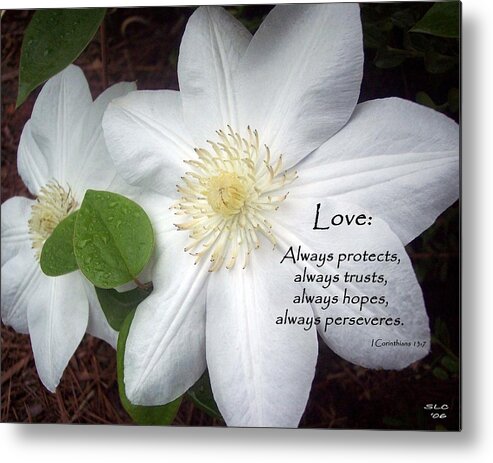 Scripture Metal Print featuring the photograph Love by Sandra Clark