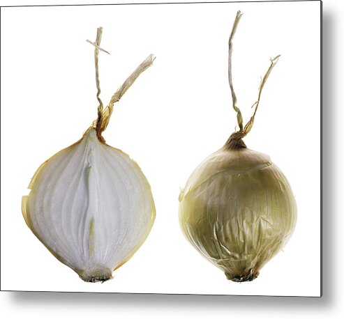 Fruit Metal Print featuring the photograph Onion by Nathaniel Kolby