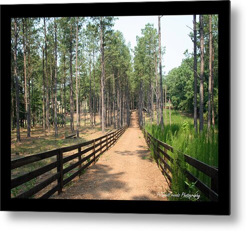 Path Metal Print featuring the photograph 'Path to Serenbe' by PJQandFriends Photography
