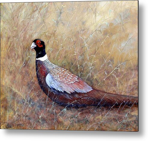 Birds Metal Print featuring the painting Pheasant in the Grass by Gary Partin