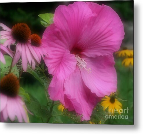 Hibiscus Metal Print featuring the photograph Pink Hibiscus And Friends by Smilin Eyes Treasures