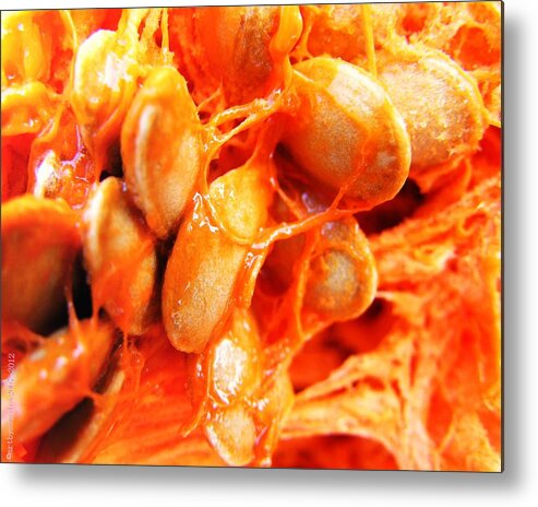 Pumpkin Metal Print featuring the photograph Pumpkin by Mimulux Patricia No