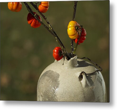 Solanum Integrifolium Metal Print featuring the photograph Pumpkin on a Stick in an Old Primitive Moonshine Jug by Kathy Clark