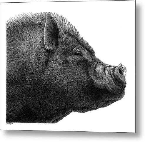 Razorback Metal Print featuring the drawing Razorback by Scott Woyak