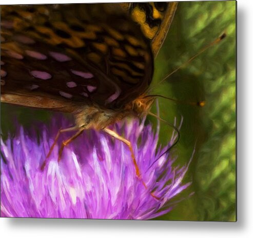 Macro Metal Print featuring the photograph Reflection In The Wing by Jack Zulli