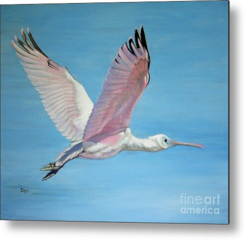 Roseate Spoonbill Metal Print featuring the painting Roseate Spoonbill in Full Flight by Jimmie Bartlett