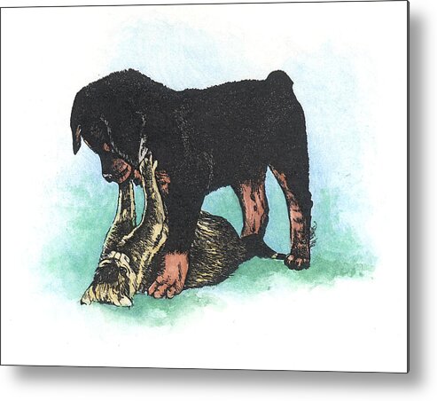 Rottweiler Metal Print featuring the painting Rottie Pup and Kitten playing by Patrice Clarkson