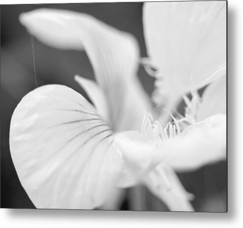 Macro Metal Print featuring the photograph Secret Life by Margaret Pitcher