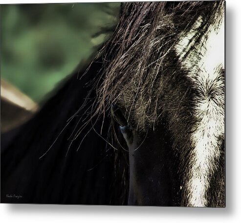 Horse Metal Print featuring the photograph Soul Views-Ghost Horse by Nada Frazier