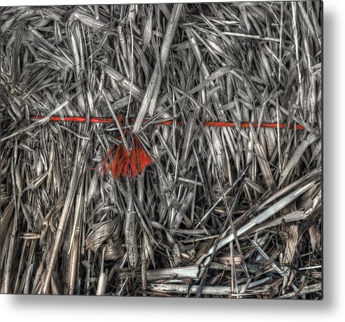 Straw Metal Print featuring the photograph Straw Bale by Wayne Sherriff