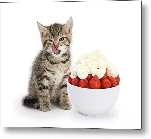 Nature Metal Print featuring the photograph Strawberries And Cream by Mark Taylor