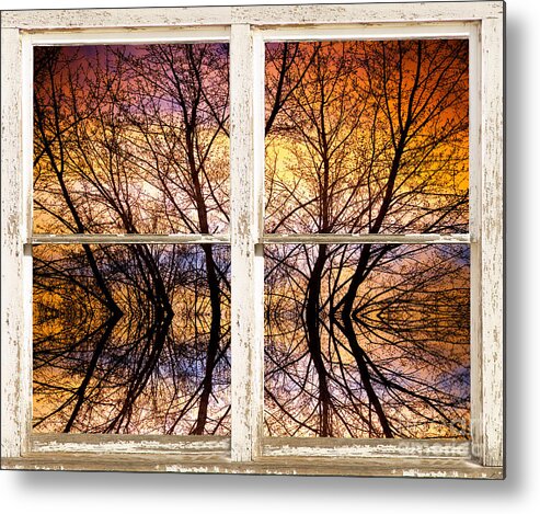 Colorful Metal Print featuring the photograph Sunset Tree Silhouette Colorful Abstract Picture Window View by James BO Insogna