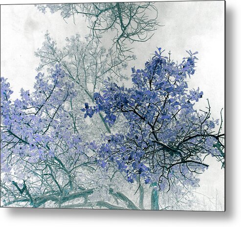 Tree Metal Print featuring the photograph Trees Above by Rebecca Margraf