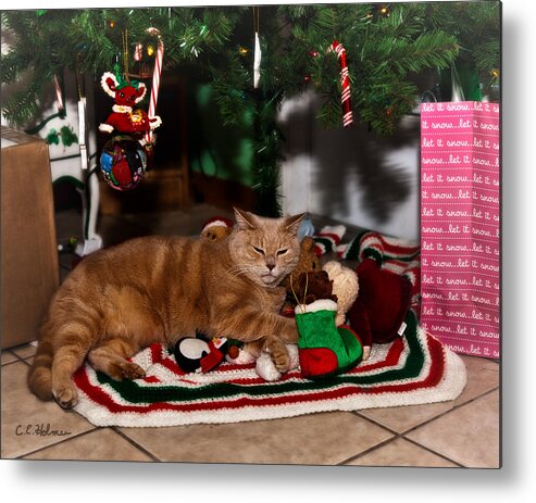 Cat Metal Print featuring the photograph Waiting For Santa by Christopher Holmes