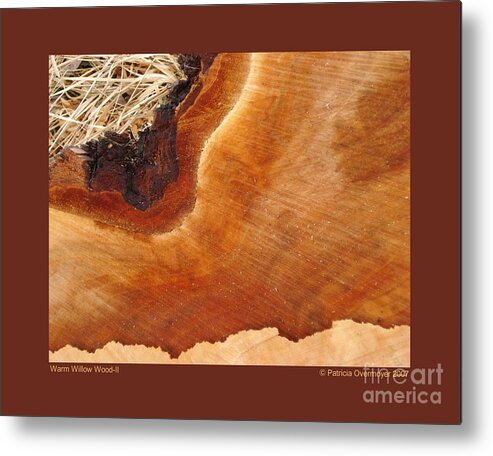 Wood Metal Print featuring the photograph Warm Willow Wood-II by Patricia Overmoyer