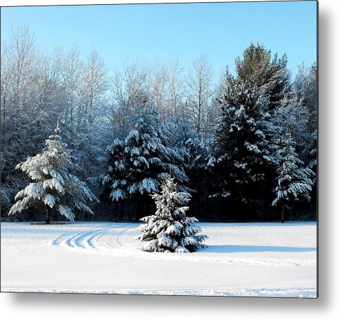 Landscape Photograph Metal Print featuring the photograph Winters Beauty by Ms Judi