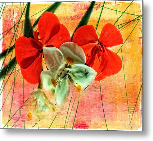 Bougainvillea Metal Print featuring the photograph Bougainvillea and Paper White by Barry Weiss