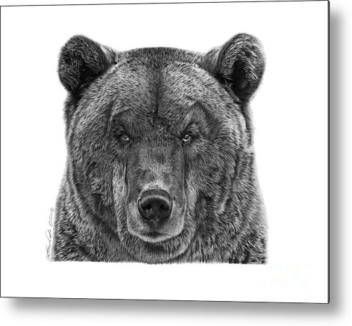 Pencil Metal Print featuring the drawing 045 Papa Bear by Abbey Noelle