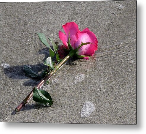 Rose Metal Print featuring the photograph A Rose for Julie by Lori Lafargue