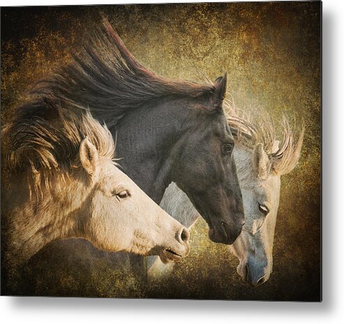 Equine Metal Print featuring the photograph Brings the Thunder #1 by Ron McGinnis