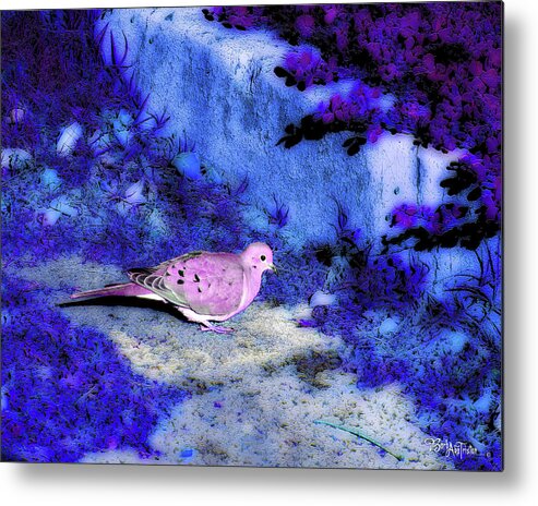 Dove Metal Print featuring the photograph Dove #9225_2 #1 by Barbara Tristan