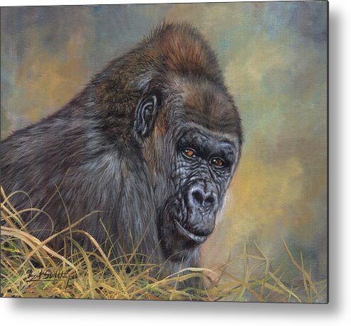 Gorilla Metal Print featuring the painting Lowland Gorilla #1 by David Stribbling