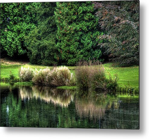 Nature Metal Print featuring the photograph Reflection by Gouzel -