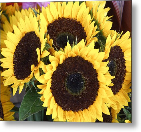 Flowers Metal Print featuring the photograph Sunflowers by Tom Romeo