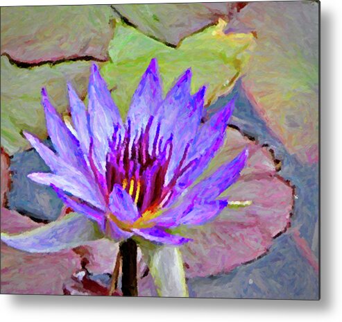 Water Lily Metal Print featuring the photograph Water Lily #1 by Winnie Chrzanowski